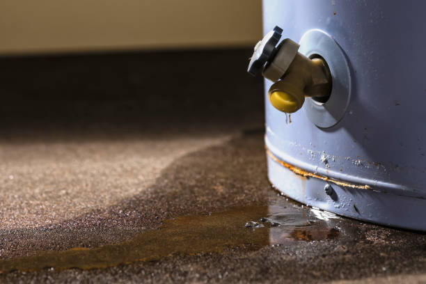 Best Carpet water damage restoration  in Greenville, MI