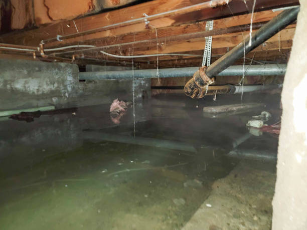 Water damage restoration experts in Greenville, MI
