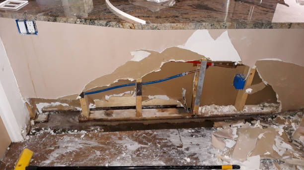 Best Professional water damage repair  in Greenville, MI