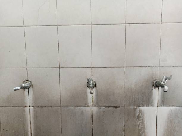 Best Sewage cleanup and water damage restoration  in Greenville, MI