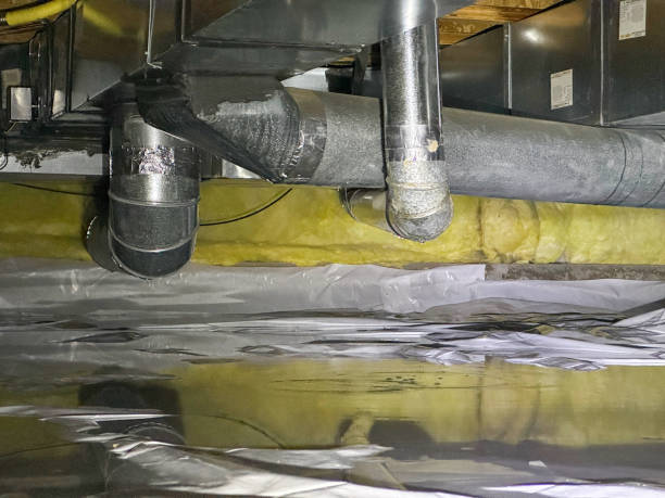 Best Water damage restoration services  in Greenville, MI