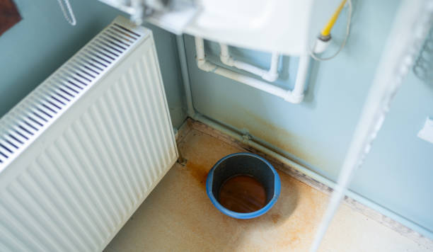 Best Professional water damage repair  in Greenville, MI