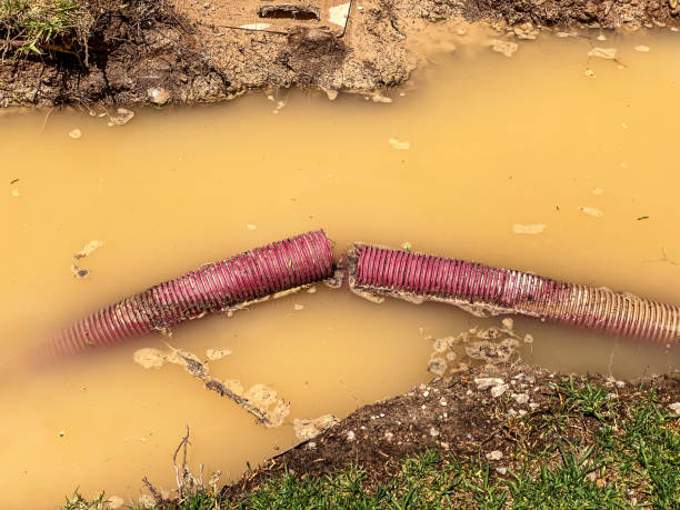 Best Water damage restoration near me  in Greenville, MI