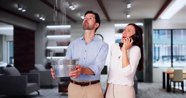Best Ceiling water damage repair  in Greenville, MI