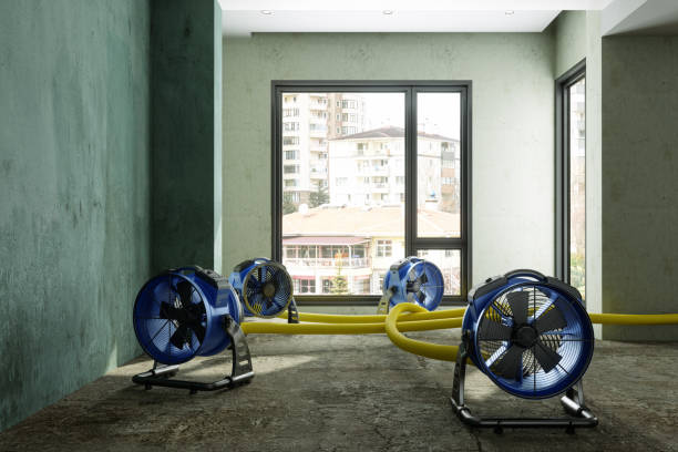 Water damage restoration insurance claims in Greenville, MI