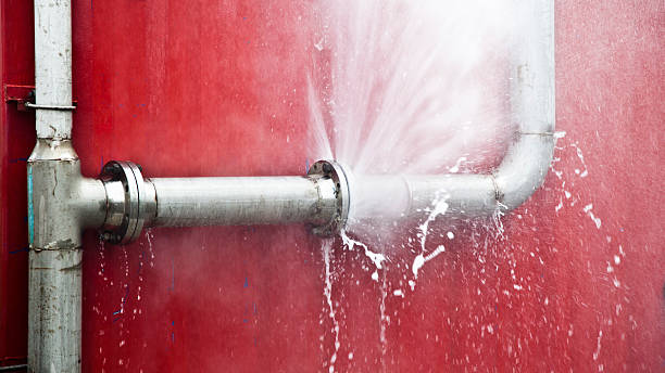 Best Basement water damage restoration  in Greenville, MI