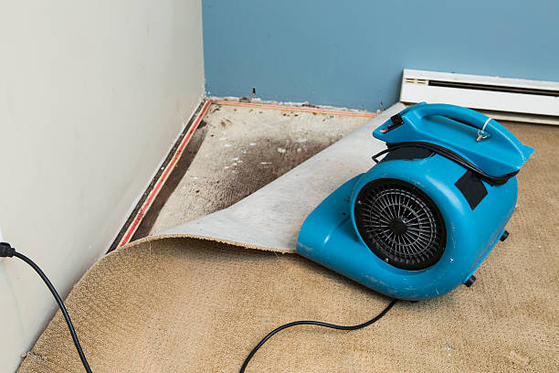Best Emergency water damage restoration  in Greenville, MI
