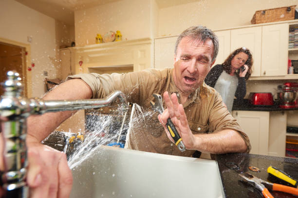 Best Ceiling water damage repair  in Greenville, MI